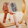 Self-cleaning hairbrush