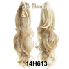 Claw-Clip Ponytail Extension