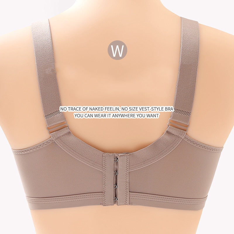 The Exquisite Bra
