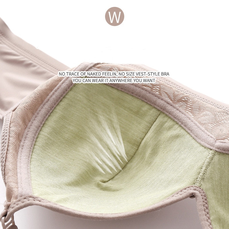 The Exquisite Bra